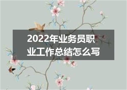 2022年业务员职业工作总结怎么写