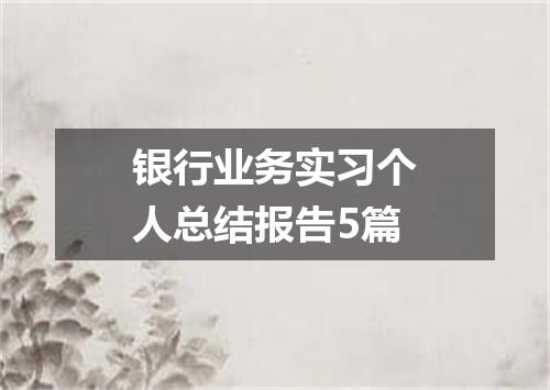 银行业务实习个人总结报告5篇