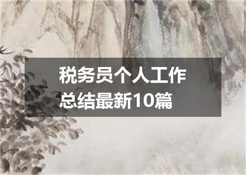 税务员个人工作总结最新10篇