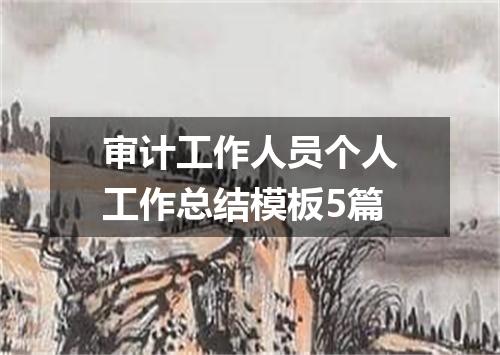 审计工作人员个人工作总结模板5篇