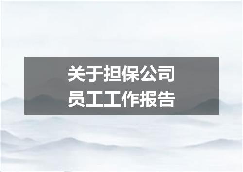 关于担保公司员工工作报告