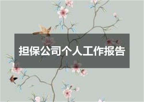 担保公司个人工作报告