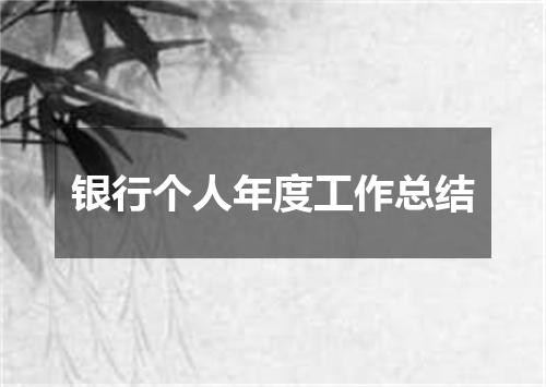 银行个人年度工作总结