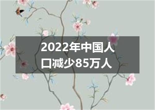 2022年中国人口减少85万人