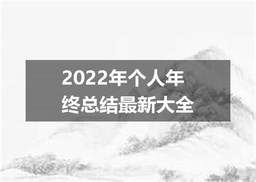 2022年个人年终总结最新大全