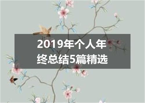 2019年个人年终总结5篇精选