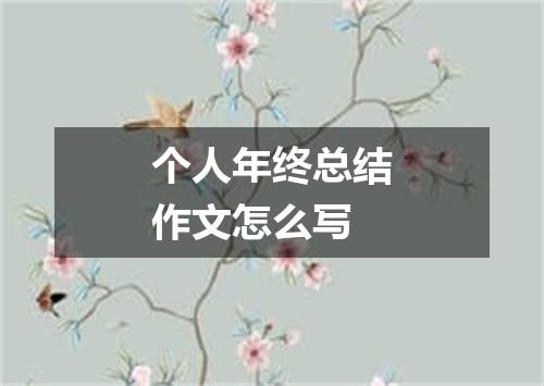 个人年终总结作文怎么写