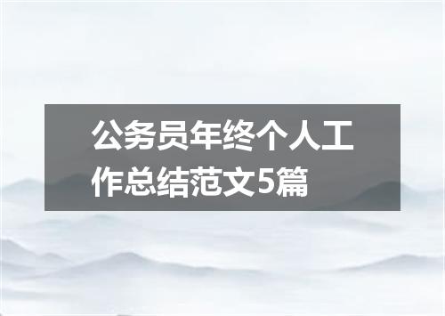公务员年终个人工作总结范文5篇
