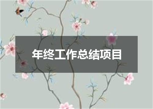 年终工作总结项目