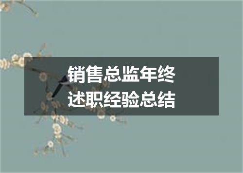 销售总监年终述职经验总结