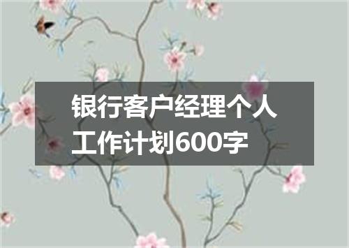 银行客户经理个人工作计划600字