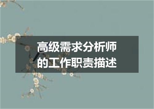 高级需求分析师的工作职责描述