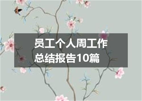 员工个人周工作总结报告10篇