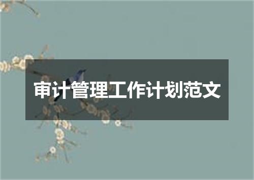 审计管理工作计划范文