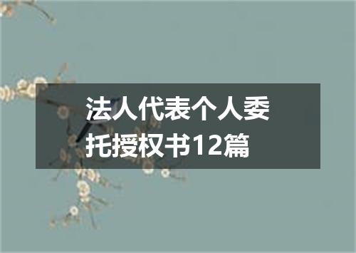 法人代表个人委托授权书12篇
