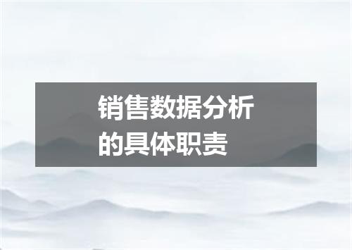 销售数据分析的具体职责