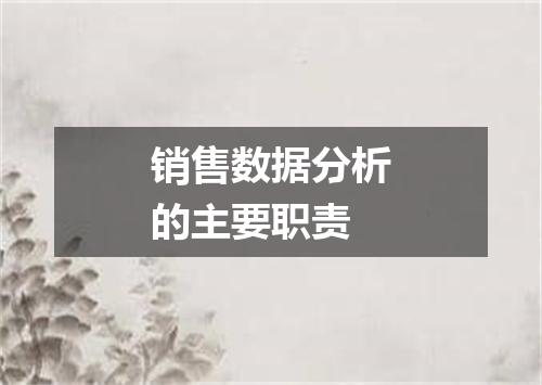 销售数据分析的主要职责