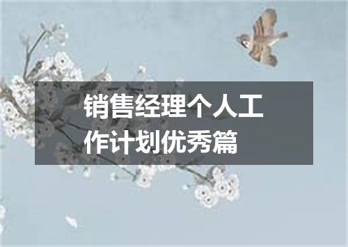 销售经理个人工作计划优秀篇