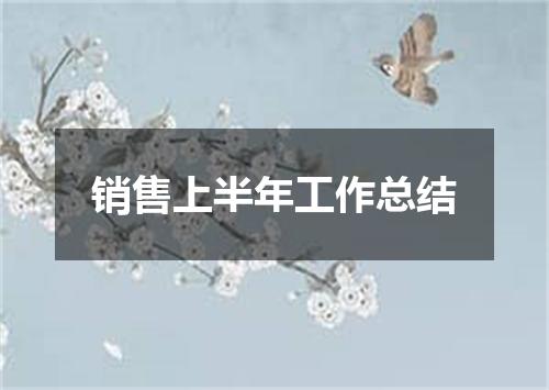 销售上半年工作总结