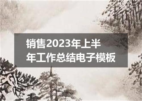 销售2023年上半年工作总结电子模板