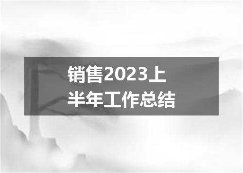 销售2023上半年工作总结