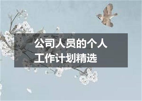 公司人员的个人工作计划精选