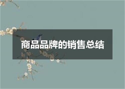 商品品牌的销售总结