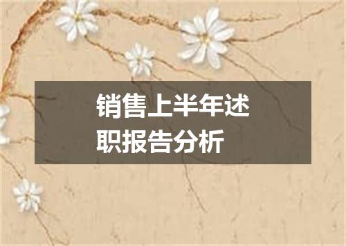 销售上半年述职报告分析