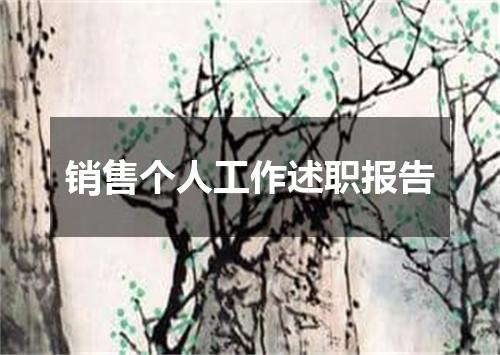 销售个人工作述职报告