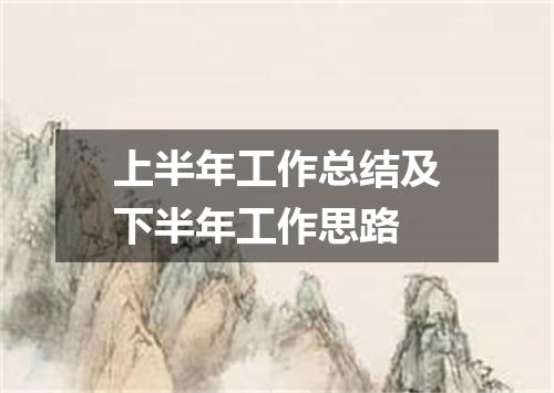 上半年工作总结及下半年工作思路