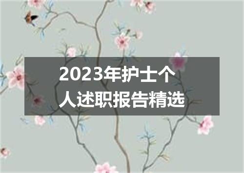 2023年护士个人述职报告精选
