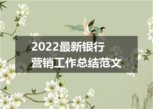 2022最新银行营销工作总结范文