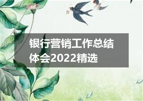 银行营销工作总结体会2022精选