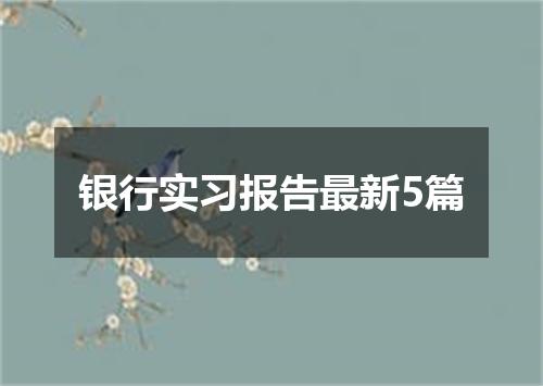 银行实习报告最新5篇