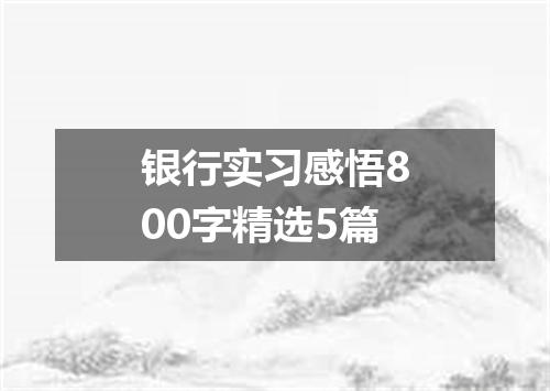 银行实习感悟800字精选5篇
