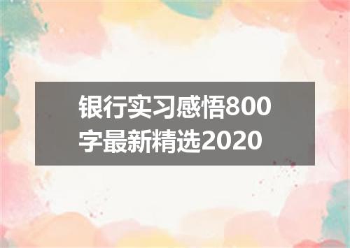 银行实习感悟800字最新精选2020