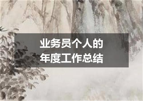 业务员个人的年度工作总结