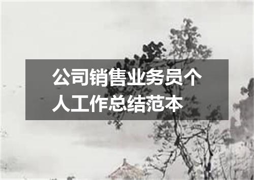 公司销售业务员个人工作总结范本