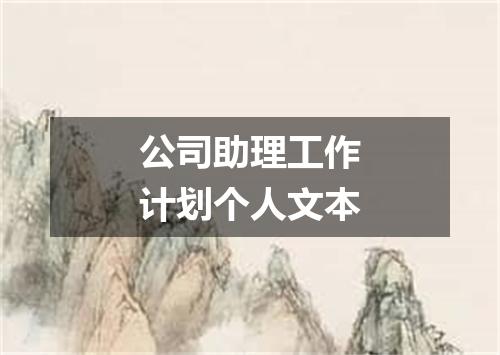 公司助理工作计划个人文本