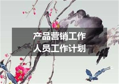 产品营销工作人员工作计划