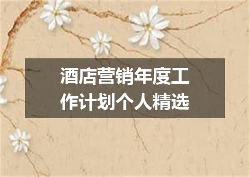 酒店营销年度工作计划个人精选