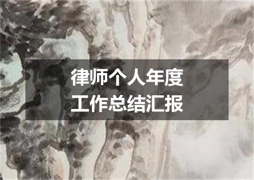 律师个人年度工作总结汇报