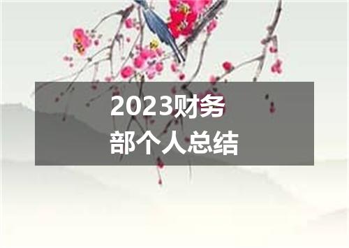 2023财务部个人总结