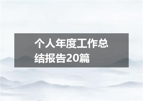 个人年度工作总结报告20篇