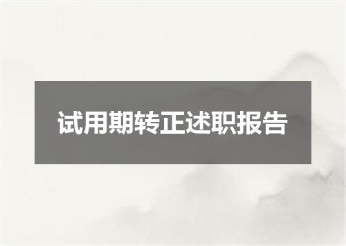 试用期转正述职报告