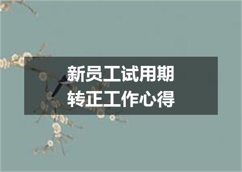 新员工试用期转正工作心得