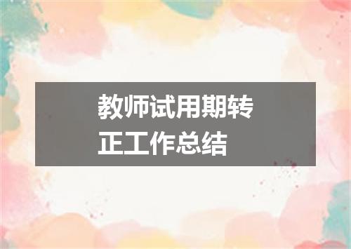 教师试用期转正工作总结