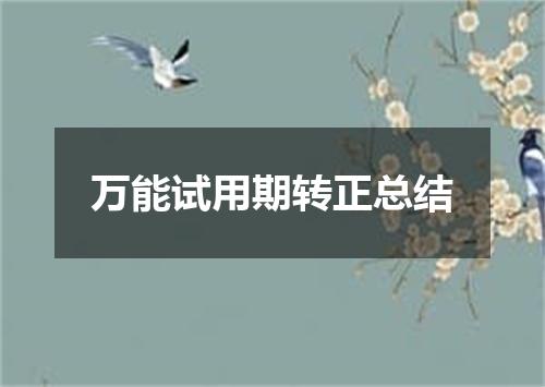 万能试用期转正总结