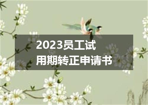 2023员工试用期转正申请书