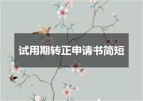 试用期转正申请书简短